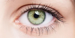 contoura vision cost